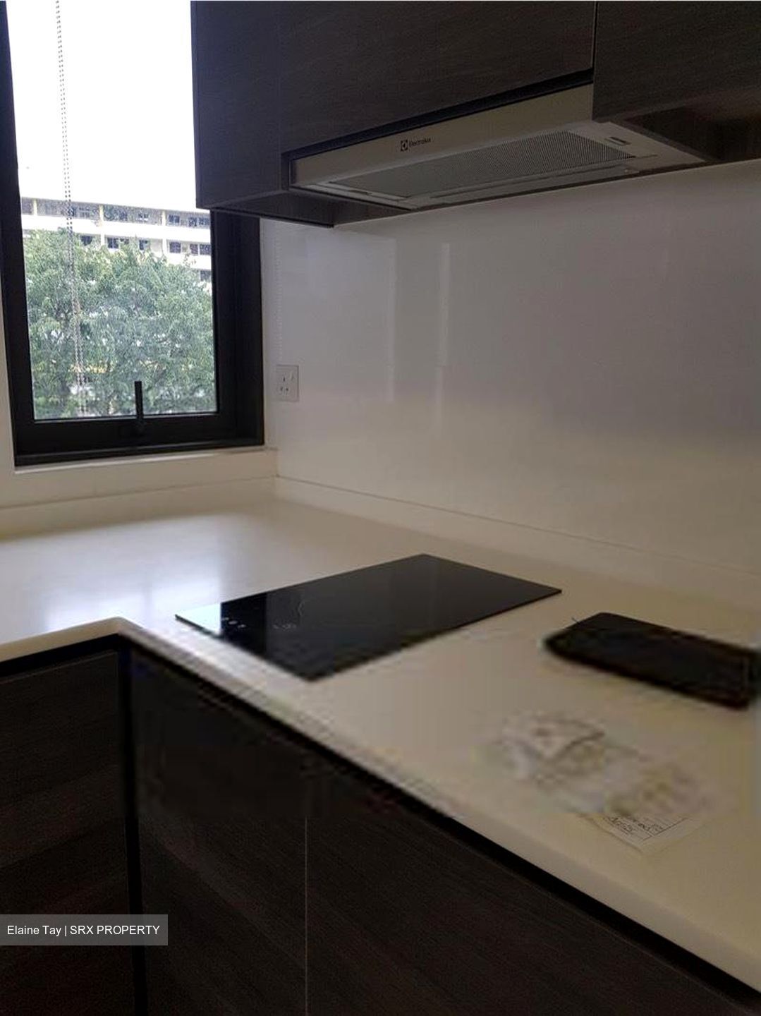 Sims Urban Oasis (D14), Condominium #454874371